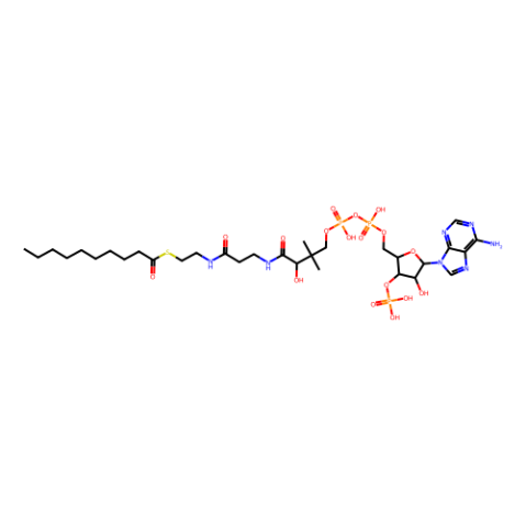 癸酰輔酶 A 水合物,S-decanoate coenzyme A, hydrate