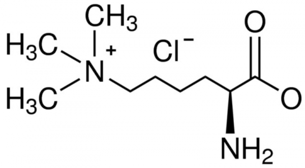 Nε，Nε，Nε-三甲基賴氨酸鹽酸鹽,Nε,Nε,Nε-Trimethyllysine hydrochloride