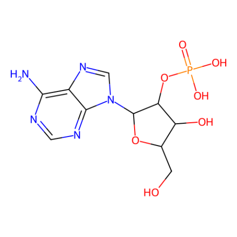 腺苷2'（3'）-單磷酸鹽混合異構(gòu)體,Adenosine 2′(3′)-monophosphate mixed isomers