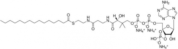十五烷酰辅酶A（铵盐）,pentadecanoyl Coenzyme A (ammonium salt)