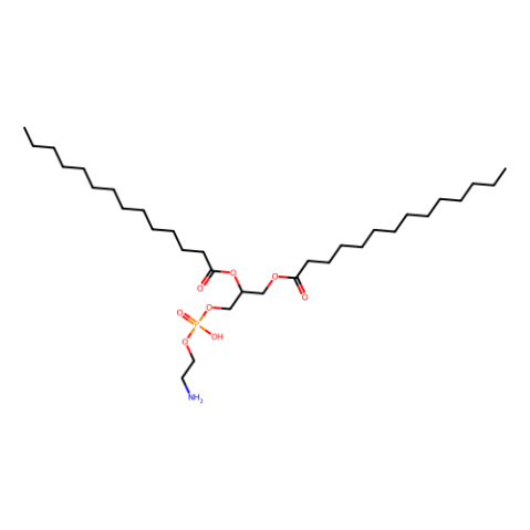 1,2-二肉豆蔻酰-sn-丙三基-3-磷脂酰乙醇胺,1,2-dimyristoyl-sn-glycero-3-phosphoethanolamine