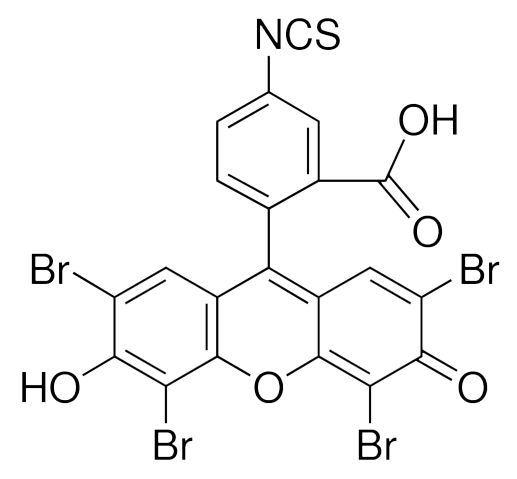 曙红5-异硫氰酸酯,Eosin-5-isothiocyanate