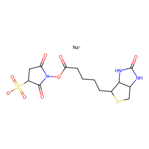 磺基-NHS-生物素,Sulfo-NHS-Biotin