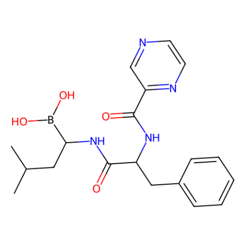 TCN 213,可逆蛋白酶体抑制剂,Bortezomib (PS-341)