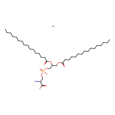 1,2-二棕榈酰基-sn-甘油-3-磷酸-L-丝氨酸(钠盐),1,2-dipalmitoyl-sn-glycero-3-phospho-L-serine (sodium salt)