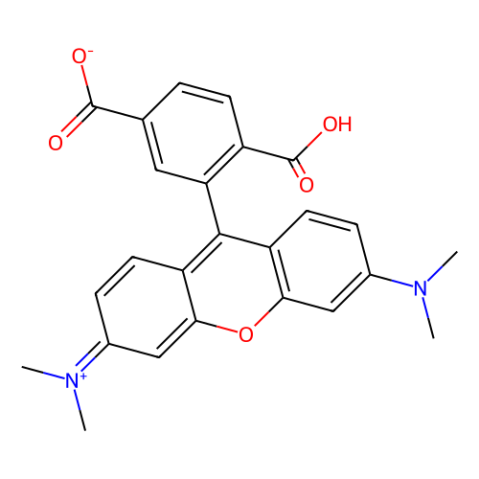 6-羧基四甲基罗丹明,6-Carboxytetramethylrhodamine