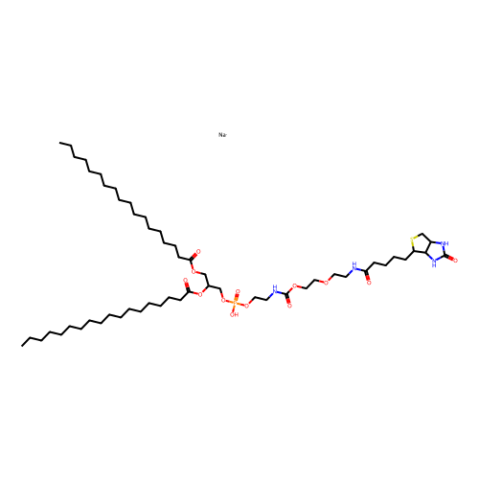 磷脂酰乙醇胺-聚乙二醇2000-生物素,1,2-distearoyl-sn-glycero-3-phosphoethanolamine-N-[biotinyl(polyethylene glycol)-2000]