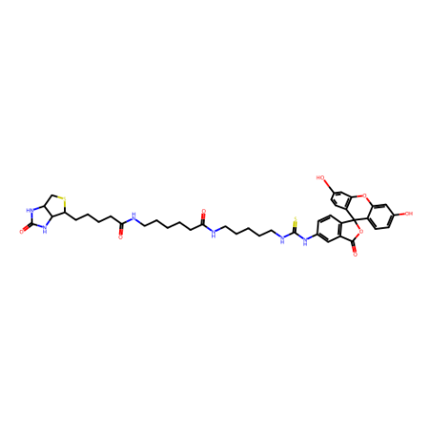 熒光素生物素[5-((N-(5-(N-(6-(聯(lián)錫酰)氨基)己酰)氨基)戊基)硫代脲基基)螢光素],Fluorescein biotin [5-((N-(5-(N-(6-(biotinoyl)amino)hexanoyl)amino)pentyl)thioureidyl)fluorescein]