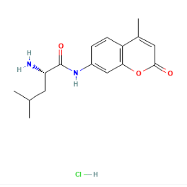L-亮氨酸-7-氨基-4-甲基香豆素 盐酸盐,L-Leucine-7-amido-4-methylcoumarin hydrochloride