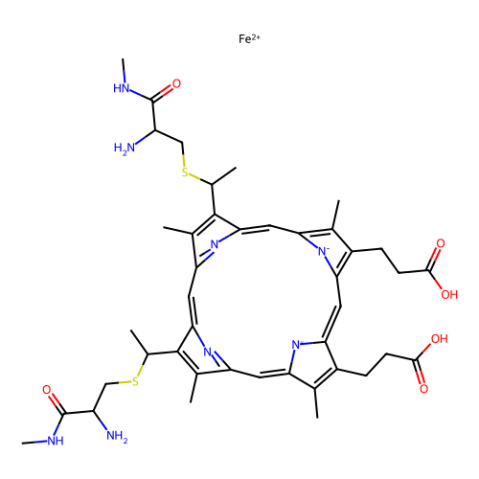 細(xì)胞色素C,Cytochrome c