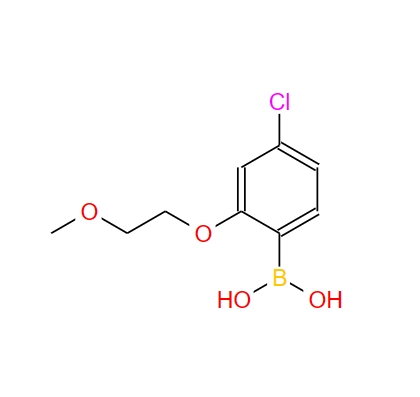 4-氯-2-(2-甲氧基乙氧基)苯硼酸,4-Chloro-2-(2-methoxyethoxy)phenylboronic acid