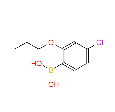 4-氯-2-丙氧基苯硼酸,4-Chloro-2-propoxyphenylboronic acid