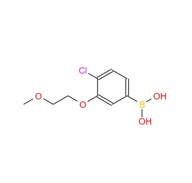 4-氯-3-(2-甲氧基乙氧基)苯硼酸,4-Chloro-3-(2-methoxyethoxy)phenylboronic acid