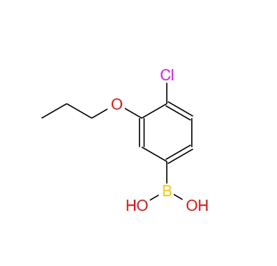 4-氯-3-丙氧基苯硼酸,4-Chloro-3-propoxyphenylboronic acid