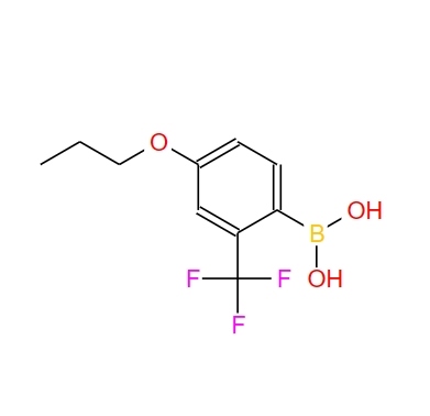 4-丙氧基-2-三氟甲基苯硼酸,4-Propoxy-2-(trifluoromethyl)phenylboronic acid