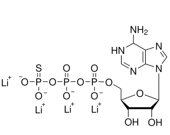 ATP-γ-S,激酶底物,ATP-gamma-S