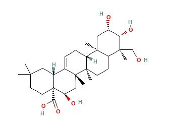 遠志酸,Polygalacic acid