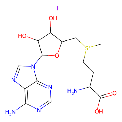 S-腺苷-L-蛋氨酸碘盐,S-(5′-Adenosyl)-L-methionine iodide