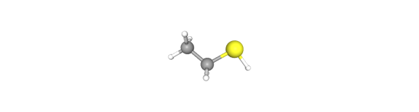 乙硫醇,Ethanethiol