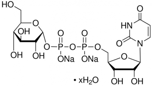 尿苷-5′-二磷酸葡萄糖 二钠盐水合物,Uridine 5′-diphosphoglucose disodium salt hydrate