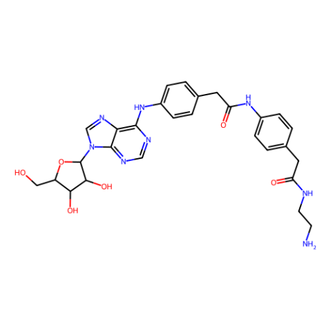 腺苷胺同类物,Adenosine Amine Congener