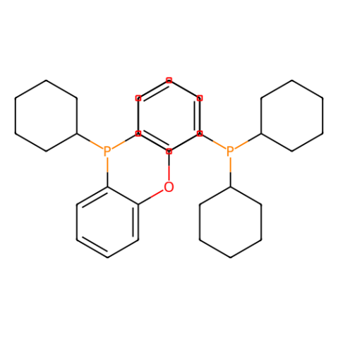 双(二环己基膦基苯基)醚,Bis(dicyclohexylphosphinophenyl) ether