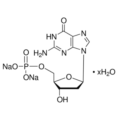 2′-脱氧鸟苷5′-单磷酸 二钠盐 水合物,2′-Deoxyguanosine 5′-monophosphate disodium salt hydrate