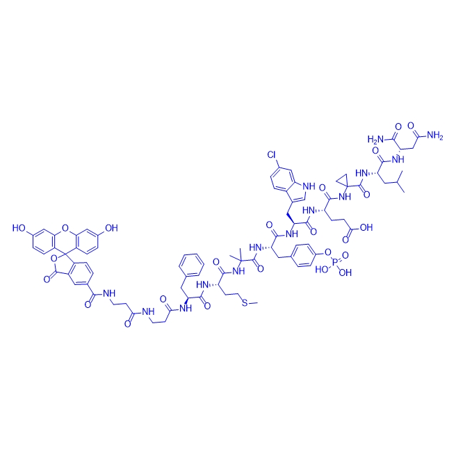 荧光标记探针多肽PMDM6-F,5-FAM-PMDM6