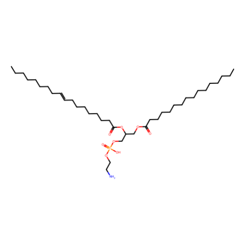 1-棕榈酰基-2-油酰基磷脂酰乙醇胺(POPE),1-palmitoyl-2-oleoylphosphatidylethanolamine