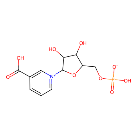 烟酸单核苷酸,Nicotinic acid mononucleotide