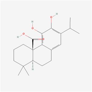 鼠尾草酸,Carnosic acid