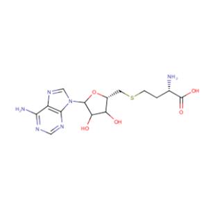 aladdin 阿拉丁 S139501 S-(5’-腺苷)-L-高半胱氨酸 979-92-0 ≥98%