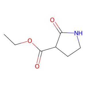 2-氧吡咯烷-3-甲酸乙酯,2-Oxopyrrolidine-3-carboxylic acid ethyl ester