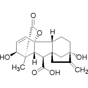 赤霉素,Gibberellin