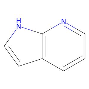 7-氮杂吲哚,7-Azaindole
