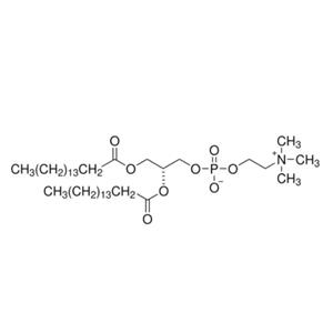 aladdin 阿拉丁 D130424 1,2-二棕榈酰-sn-甘油-3-磷酰胆碱 63-89-8 ≥99%