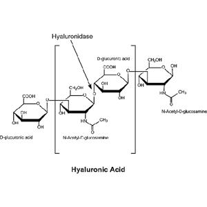 aladdin 阿拉丁 H141272 透明质酸酶 37259-53-3 ≥ 300 IU/mg，来源于牛睾丸