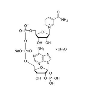 aladdin 阿拉丁 T140491 三磷酸吡啶核苷酸 钠盐 水合物 698999-85-8 ≥98% (HPLC)