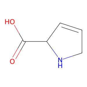 aladdin 阿拉丁 D137596 3,4-脱氢-L-脯氨酸 4043-88-3 ≥95.0%(HPLC)