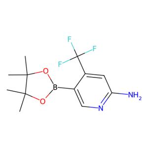 2-氨基-4-三氟甲基-5-吡啶硼酸嚬哪醇酯,2-Amino-4-(trifluoromethyl)pyridine-5-boronic acid pinacol ester