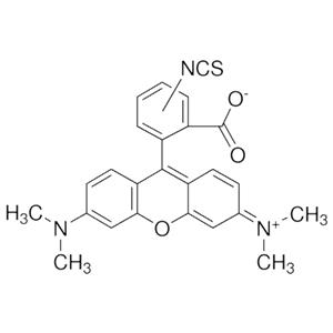 aladdin 阿拉丁 T131567 四甲基罗丹明-5(6)-异硫氰酸酯 95197-95-8 用于荧光,异构体混合物