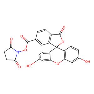 aladdin 阿拉丁 C112921 6-羧基荧光素琥珀酰亚胺酯 92557-81-8 荧光级