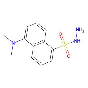 aladdin 阿拉丁 D121503 丹磺酰肼 33008-06-9 ≥95% (HPLC)