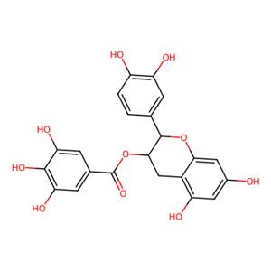 aladdin 阿拉丁 C131962 (-)-没食子酸儿茶素酯 130405-40-2 ≥98% (HPLC)