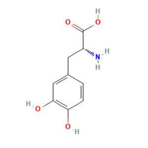 aladdin 阿拉丁 D113507 3-羟基-D-酪氨酸 5796-17-8 ≥98.0%