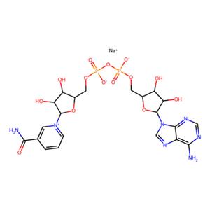 aladdin 阿拉丁 B132541 β-烟酰胺腺嘌呤二核苷酸 钠盐 20111-18-6 ≥95%(HPLC)