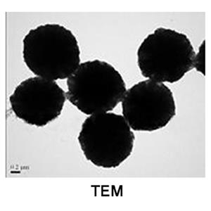 aladdin 阿拉丁 M121890 γ-三氧化二铁磁性微球 1309-37-1 基质:SiO2,表面基团:-COOH,粒径:1-2μm,单位:10mg/ml