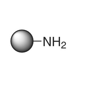 aladdin 阿拉丁 A118270 氨基甲基聚苯乙烯树脂 0.5~1.5mmol/g, 100~200 mesh,1% DVB