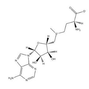 aladdin 阿拉丁 S192607 S-腺苷蛋氨酸 29908-03-0 98%