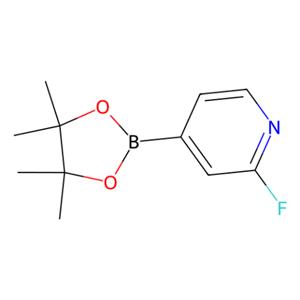 aladdin 阿拉丁 F134167 2-氟吡啶-4-硼酸频哪醇酯 458532-86-0 95%